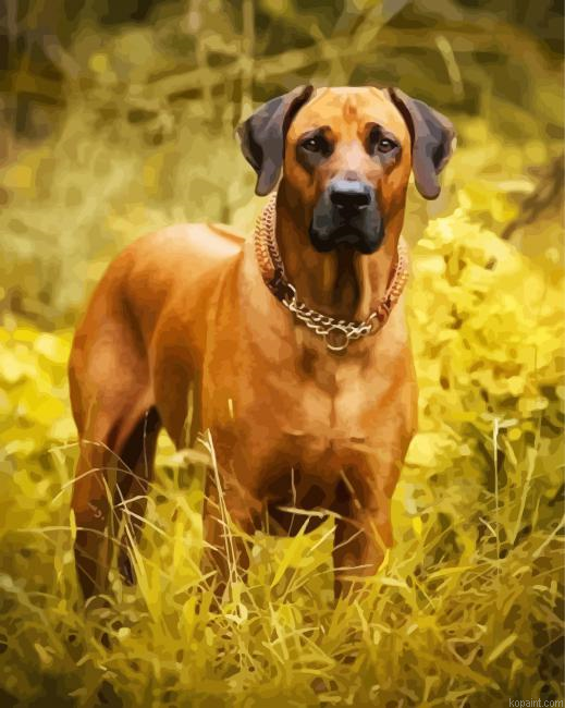 Brown Rhodesian Ridgeback Painting By Numberss.png