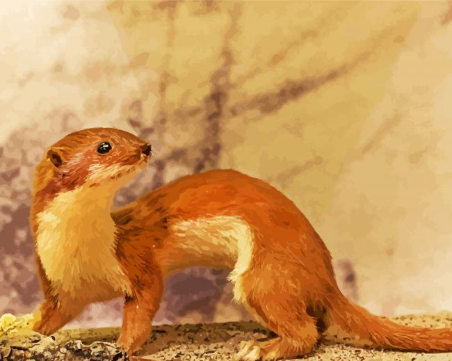 Brown Stoat Weasel Painting By Numberss.png