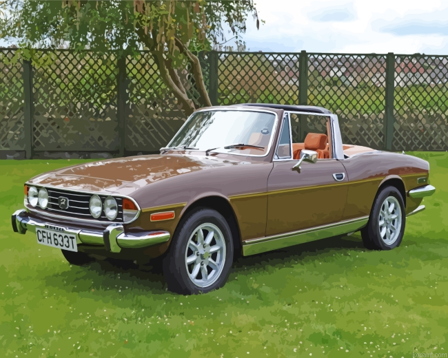 Brown Triumph Stag Painting By Numberss.png
