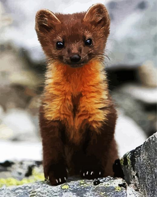 Brown Weasel Paint By Numbers.png