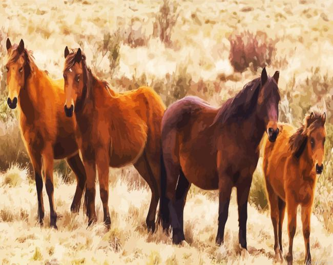 Brumbies Brown Flock Paint By Numbers.png