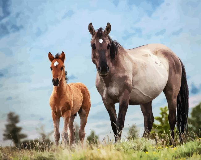 Brumbies Horses Paint By Numbers.png
