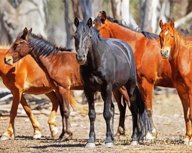Brumby Horses Animals Painting By Numberss.png
