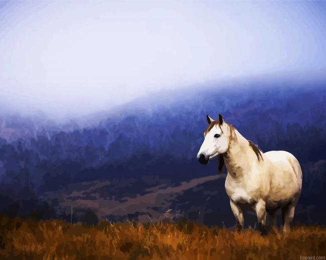 Brumby In The Mountains Paint By Numbers.png