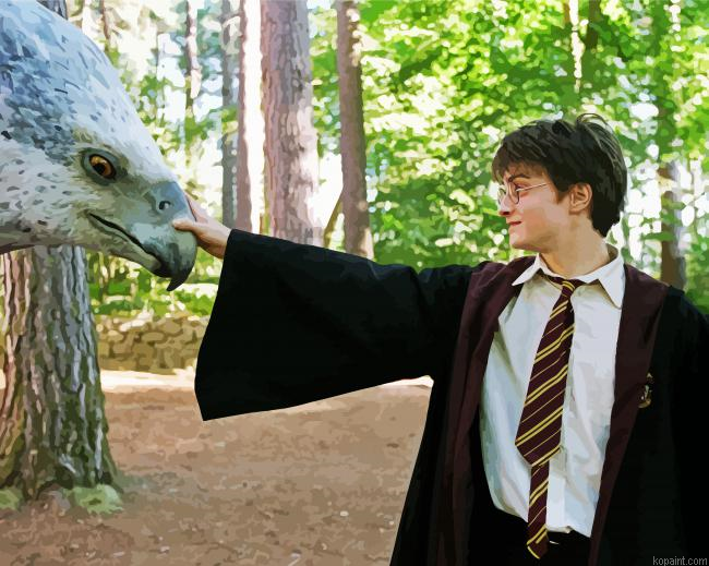 Buckbeak And Harry Potter Painting By Numberss.png