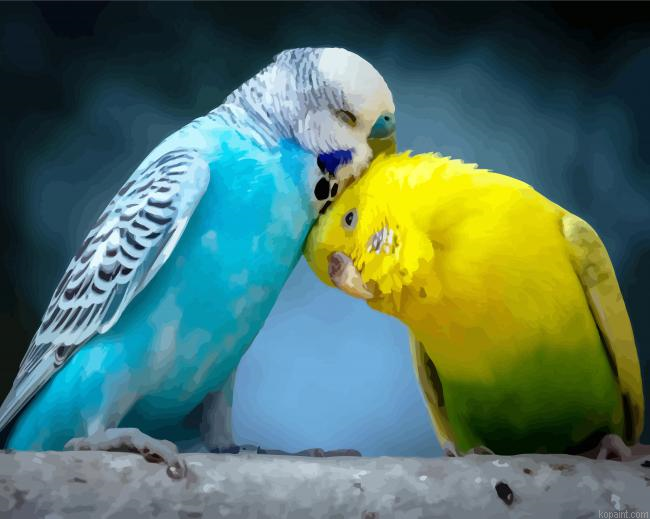 Budgerigar Lovers Paint By Numbers.png