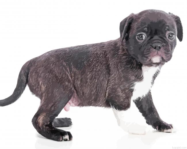Bugg Puppy Painting By Numberss.png