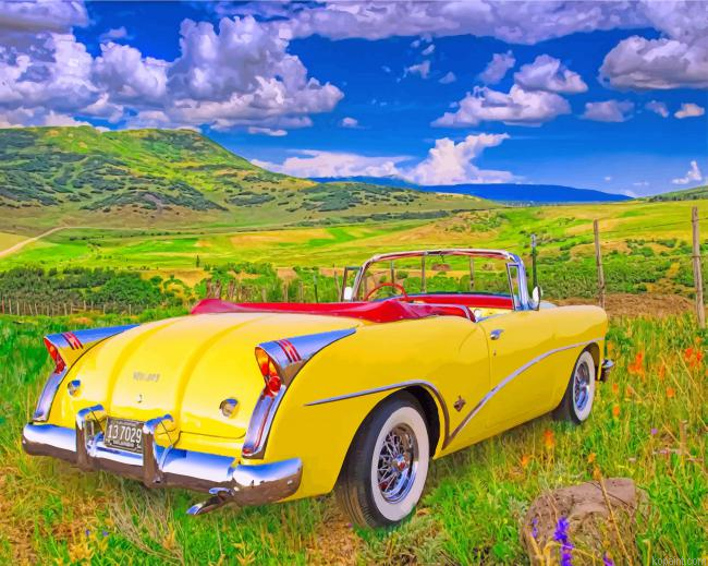 Buick Skylark Paint By Numbers