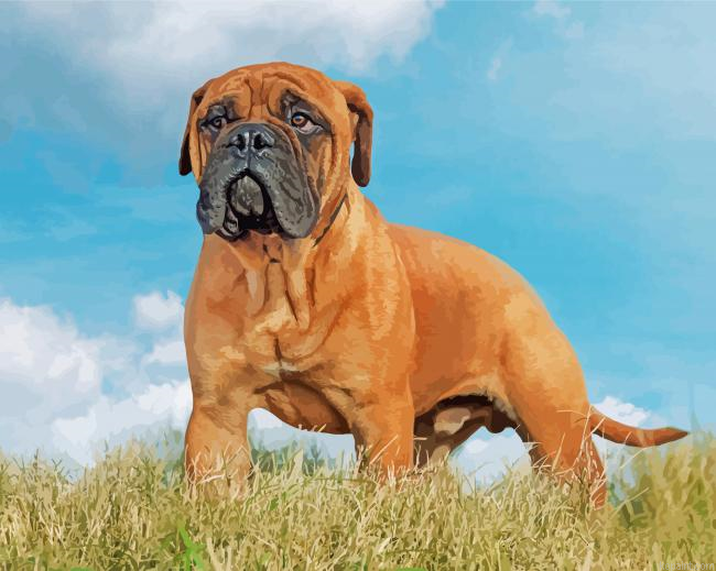 Bull Mastiff Painting By Numberss.png