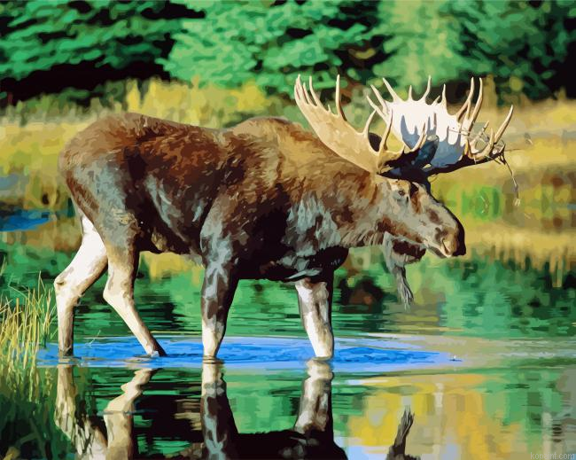 Bull Moose Water Painting By Numberss.png