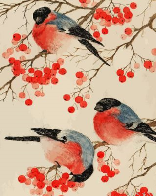 Bullfinch Birds Painting By Numberss.png