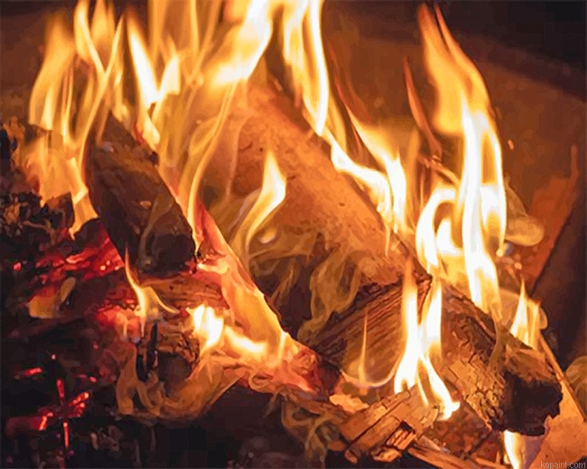 Burning Wood New Painting By Numberss.png