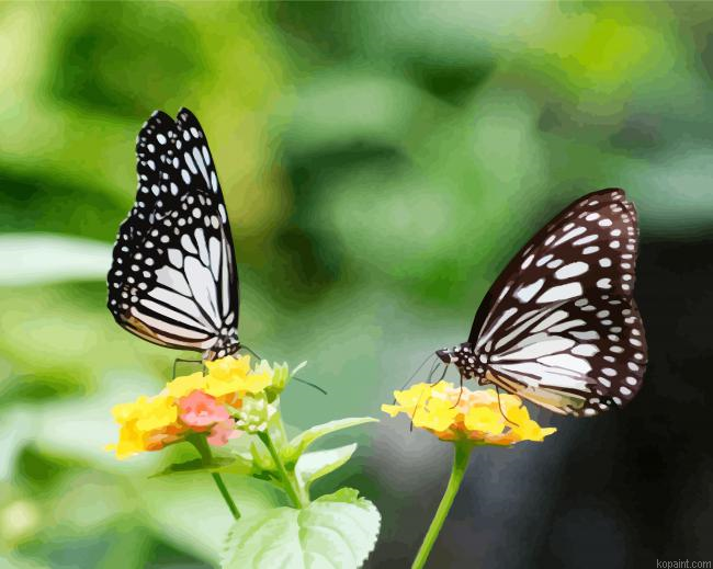 Butterflies In Flowers Painting By Numberss.png