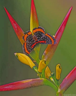 Butterfly And Bird Of Paradise Flower Painting By Numberss.png