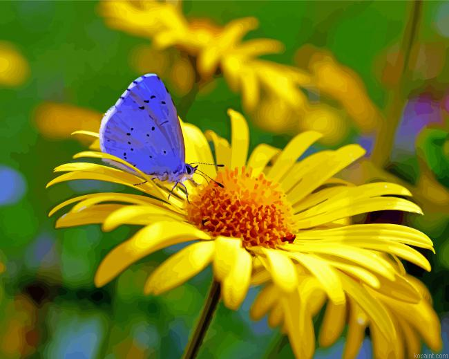 Butterfly And Yellow Flower Painting By Numberss.png