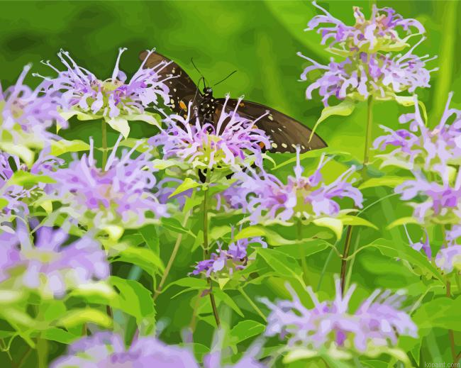 Butterfly In Wild Bergamot Field Painting By Numberss.png