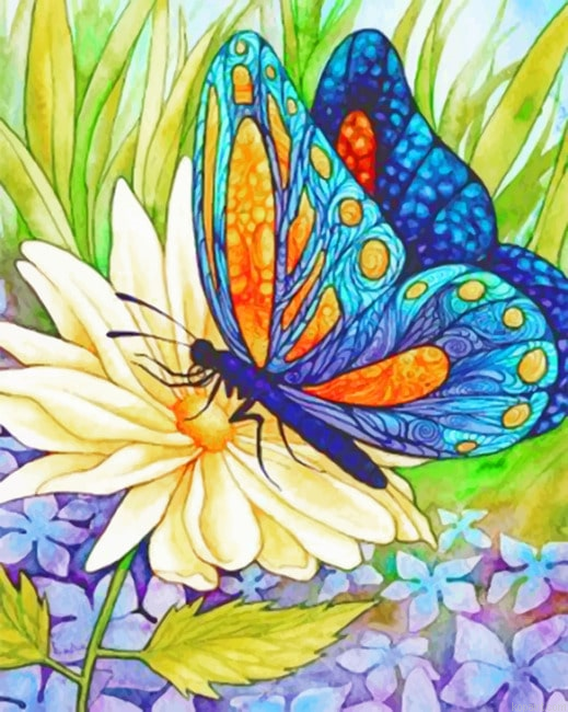 Butterfly Insects Painting By Numberss.png