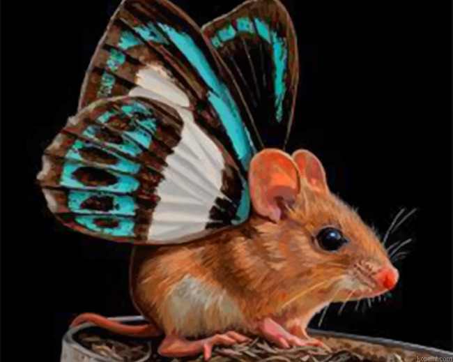Butterfly Mouse Painting By Numberss.png