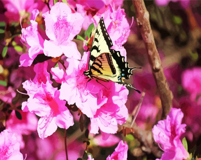 Butterfly On Azaleas Flower Painting By Numberss.png