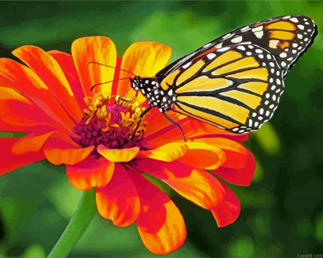 Butterfly On Zinnia Painting By Numberss.png