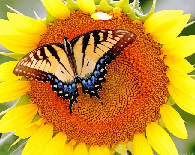 Butterfly With Sunflower Painting By Numberss.png