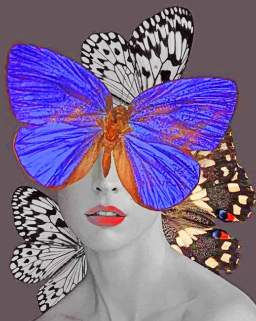 Butterfly Woman Aesthetic Paint By Numbers