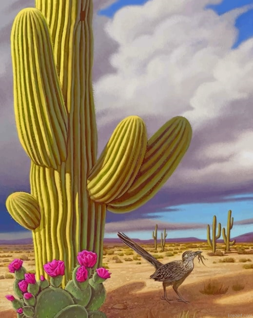 Cactus And Bird New Painting By Numberss.png