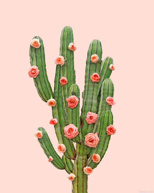 Cactus And Pink Roses Painting By Numberss.png