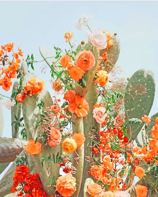 Cactus Flower Aesthetic New Painting By Numberss.png