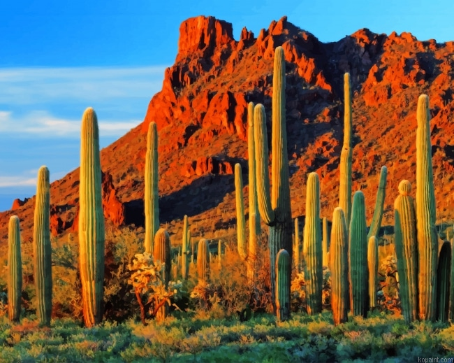 Cactus Near Mountain New Painting By Numberss.png