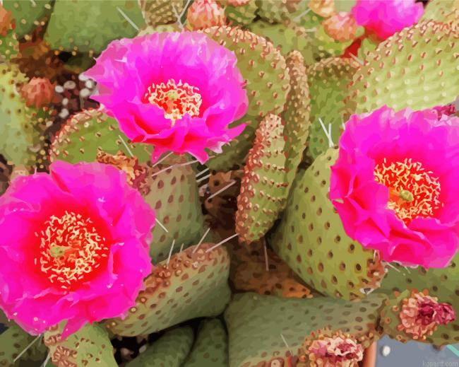 Cactus Plant With Pink Roses Painting By Numberss.png