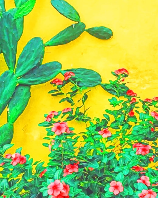 Cactus Plants Painting By Numberss.png