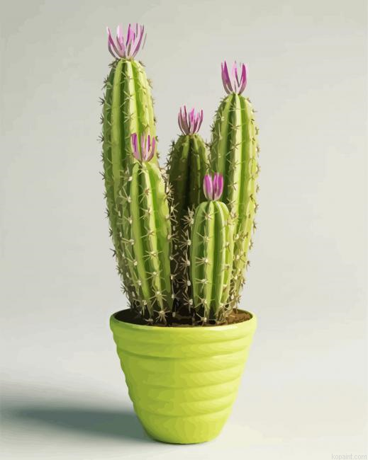 Cactus Pot Painting By Numberss.png