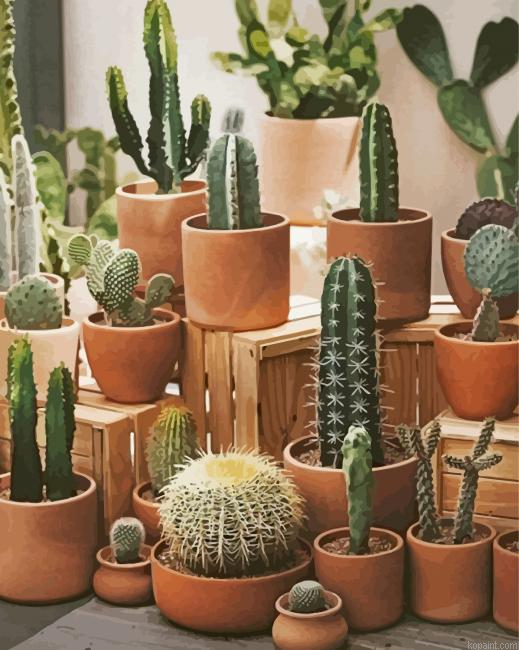 Cactus Pots Art Painting By Numberss.png