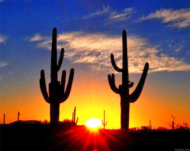 Cactus Sunrise New Painting By Numberss.png