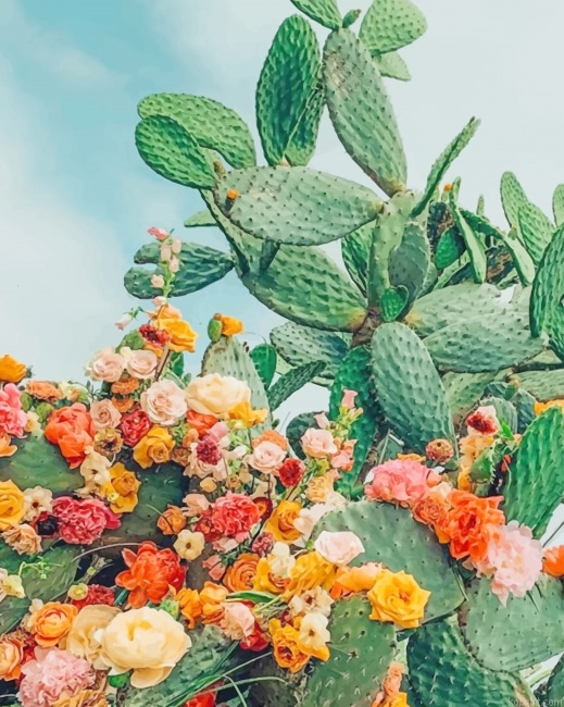 Cactus With Flowers New Painting By Numberss.png
