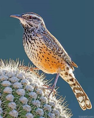 Cactus Wren Painting By Numberss.png