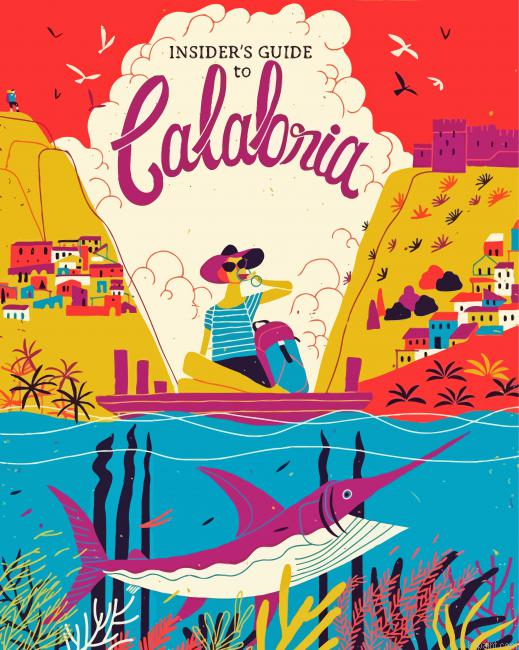 Calabria Italy Poster Paint By Numbers.png