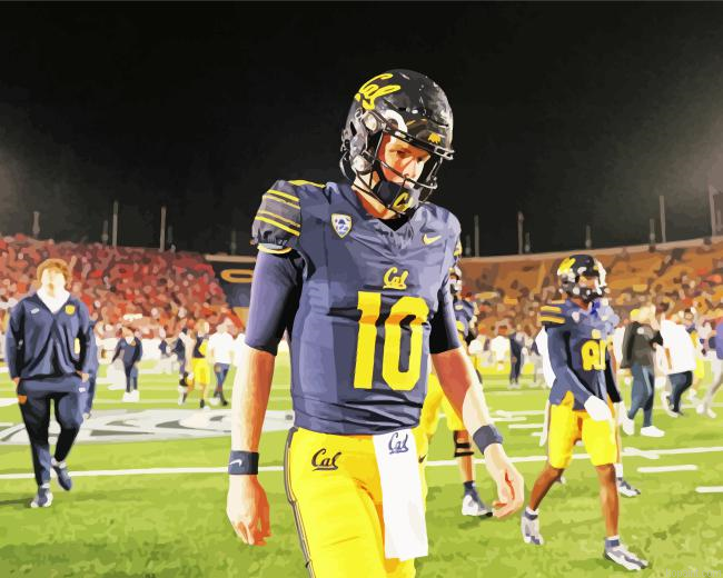 California Golden Bears Painting By Numberss.png