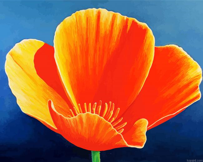 California Poppy Flower Painting By Numberss.png