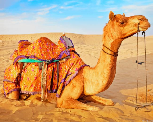 Camel In Desert New Painting By Numberss.png