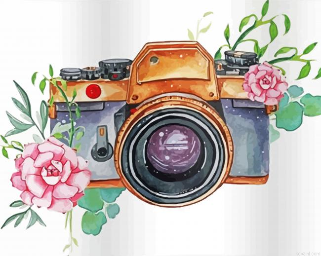 Camera And Flower Paint By Numbers