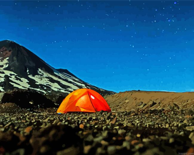 Camping In The Andes Mountains At Night Painting By Numberss.png