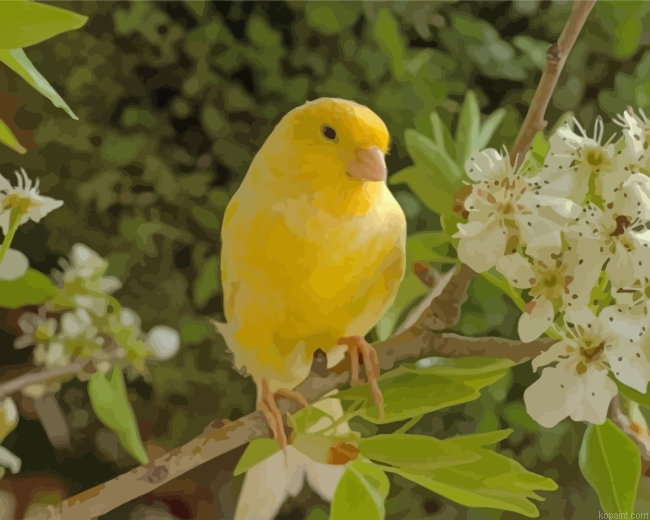 Canary Bird And Flower Painting By Numberss.png
