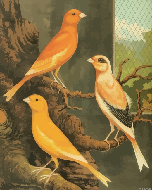 Canary Birds Painting By Numberss.png