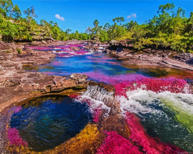 Cano Cristales Columbia Painting By Numberss.png