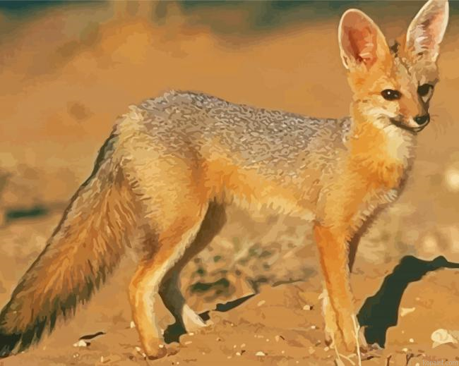 Cape Fox Painting By Numberss.png