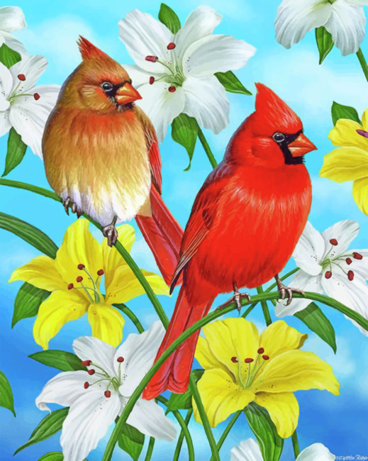 Cardinals Birds Painting By Numberss.png
