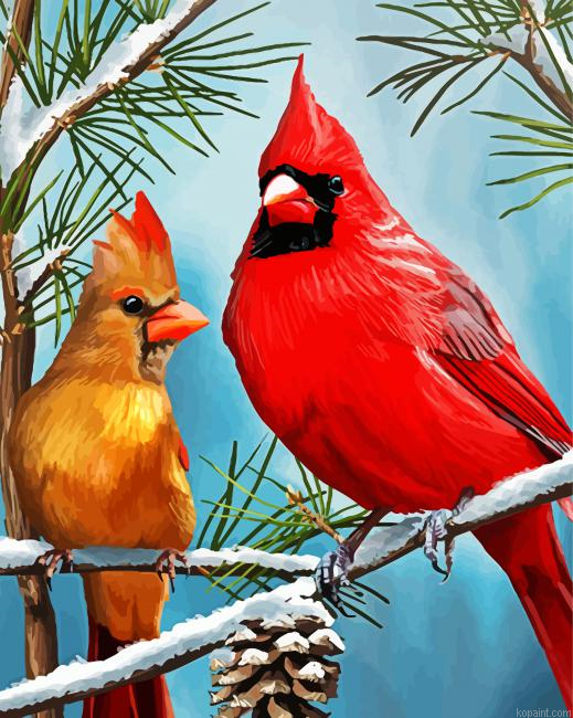 Cardinals Couple In Winter Paint By Numbers