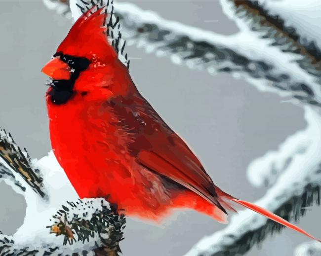 Cardinals In Winter Paint By Numbers